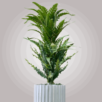 بوته مصنوعی گراس همراه گلدان چوبی