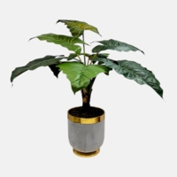 درختچه مصنوعی بابا آدم، ارتفاع ۱,۳۰ متر، گلدان پلیمری