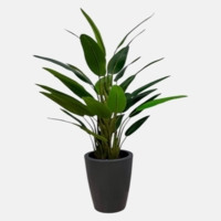 درختچه مصنوعی استرلیز، ۴ تنه، ارتفاع ۱,۵۰ متر، گلدان پلیمری