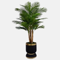 درختچه مصنوعی کنتیا, ۵ تنه, ارتفاع ۲,۱۰ متر, گلدان پلیمری