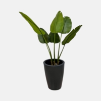 درختچه مصنوعی نخل مسافر، ۶ شاخه، ارتفاع ۱ متر، گلدان پلیمری