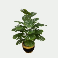 درختچه مصنوعی انجیر، ارتفاع ۱,۲۰ متر، گلدان پلیمری