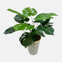 بوته مصنوعی انجیر، ارتفاع ۶۰ سانتی ‌متر، گلدان پلیمری