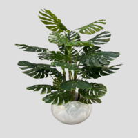 درختچه مصنوعی انجیر، ارتفاع ۱ متر، گلدان سرامیکی