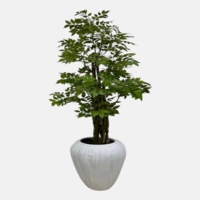درختچه مصنوعی ایلان، ارتفاع ۱,۸۰ متر، گلدان سرامیکی
