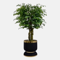 درختچه مصنوعی بنجامین، ارتفاع ۱,۹۰ متر، گلدان پلیمری