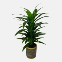 درختچه مصنوعی دراسینا، ارتفاع ۱,۶۰ متر، گلدان پلیمری