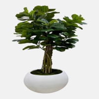 درختچه مصنوعی لیراتا، ارتفاع ۱,۵۰ متر، گلدان پلیمری