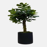 درختچه مصنوعی لیراتا، ارتفاع ۱,۷۰ متر، گلدان پلیمری