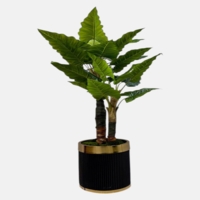 درختچه مصنوعی بابا آدم،۲ تنه،ارتفاع ۱,۸۰ متر،گلدان پلیمری