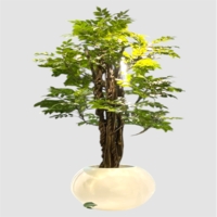 درختچه مصنوعی اقاقیا، ارتفاع ۱,۸۰ متر، گلدان پلیمری