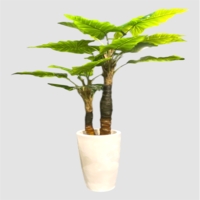 درختچه مصنوعی بابا آدم،۲ تنه،ارتفاع ۱,۶۰ متر،گلدان پلیمری