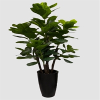 درختچه مصنوعی لیراتا، ۵تنه، ارتفاع ۱,۸۰ متر، گلدان پلیمری