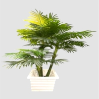 درختچه مصنوعی نخل، ۳ تنه، ارتفاع ۲,۴۰متر، گلدان پلیمری