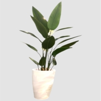 درختچه مصنوعی پرنده بهشتی، ارتفاع ۱,۶۰ متر، گلدان پلیمری