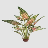 درختچه مصنوعی کالادیوم،۱۲ شاخه، ارتفاع ۱,۴۰متر