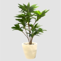 درختچه مصنوعی یوکا، ارتفاع ۱,۵۰ متر، گلدان پلیمری