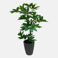 درختچه مصنوعی پاچیرا، ارتفاع ۱,۶۰ متر، گلدان پلیمری