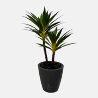 درختچه مصنوعی یوکا، ۲ تنه، ارتفاع ۱,۲۰ متر، گلدان پلیمری